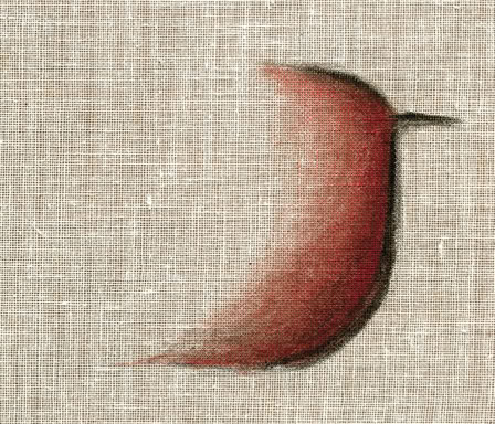 artwork on transparent canvas